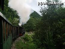 [P14]  -- <small>// FĂRĂ DESCRIERE</small> » foto by szik173
 - 
<span class="allrVoted glyphicon glyphicon-heart hidden" id="av161312"></span>
<a class="m-l-10 hidden" id="sv161312" onclick="voting_Foto_DelVot(,161312,18930)" role="button">șterge vot <span class="glyphicon glyphicon-remove"></span></a>
<a id="v9161312" class=" c-red"  onclick="voting_Foto_SetVot(161312)" role="button"><span class="glyphicon glyphicon-heart-empty"></span> <b>LIKE</b> = Votează poza</a> <img class="hidden"  id="f161312W9" src="/imagini/loader.gif" border="0" /><span class="AjErrMes hidden" id="e161312ErM"></span>