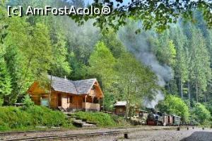 [P26] Cabana- muzeu la Paltin » foto by Michi <span class="label label-default labelC_thin small">NEVOTABILĂ</span>