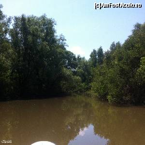 [P12] Mai departe, spre plaurii de nuferi » foto by Yersinia Pestis
 - 
<span class="allrVoted glyphicon glyphicon-heart hidden" id="av647011"></span>
<a class="m-l-10 hidden" id="sv647011" onclick="voting_Foto_DelVot(,647011,18938)" role="button">șterge vot <span class="glyphicon glyphicon-remove"></span></a>
<a id="v9647011" class=" c-red"  onclick="voting_Foto_SetVot(647011)" role="button"><span class="glyphicon glyphicon-heart-empty"></span> <b>LIKE</b> = Votează poza</a> <img class="hidden"  id="f647011W9" src="/imagini/loader.gif" border="0" /><span class="AjErrMes hidden" id="e647011ErM"></span>