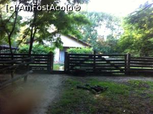 [P07] Asta-i cabana » foto by Yersinia Pestis
 - 
<span class="allrVoted glyphicon glyphicon-heart hidden" id="av760903"></span>
<a class="m-l-10 hidden" id="sv760903" onclick="voting_Foto_DelVot(,760903,18938)" role="button">șterge vot <span class="glyphicon glyphicon-remove"></span></a>
<a id="v9760903" class=" c-red"  onclick="voting_Foto_SetVot(760903)" role="button"><span class="glyphicon glyphicon-heart-empty"></span> <b>LIKE</b> = Votează poza</a> <img class="hidden"  id="f760903W9" src="/imagini/loader.gif" border="0" /><span class="AjErrMes hidden" id="e760903ErM"></span>