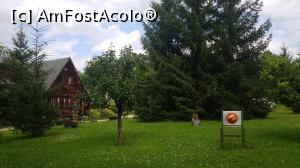 [P01]  -- <small>// FĂRĂ DESCRIERE</small> » foto by alexandrapau <span class="label label-default labelC_thin small">NEVOTABILĂ</span>