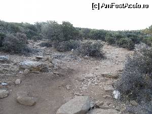 [P12] Inca mai coboram spre Giola- poteca se bifurca » foto by luciaoradea
 - 
<span class="allrVoted glyphicon glyphicon-heart hidden" id="av530270"></span>
<a class="m-l-10 hidden" id="sv530270" onclick="voting_Foto_DelVot(,530270,19007)" role="button">șterge vot <span class="glyphicon glyphicon-remove"></span></a>
<a id="v9530270" class=" c-red"  onclick="voting_Foto_SetVot(530270)" role="button"><span class="glyphicon glyphicon-heart-empty"></span> <b>LIKE</b> = Votează poza</a> <img class="hidden"  id="f530270W9" src="/imagini/loader.gif" border="0" /><span class="AjErrMes hidden" id="e530270ErM"></span>