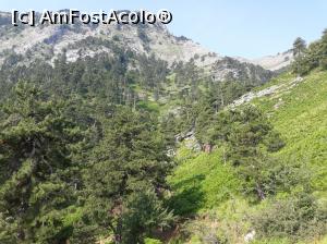 [P11] Pare că ne apropiem dar nu este deloc așa.  » foto by Aurici
 - 
<span class="allrVoted glyphicon glyphicon-heart hidden" id="av877182"></span>
<a class="m-l-10 hidden" id="sv877182" onclick="voting_Foto_DelVot(,877182,19009)" role="button">șterge vot <span class="glyphicon glyphicon-remove"></span></a>
<a id="v9877182" class=" c-red"  onclick="voting_Foto_SetVot(877182)" role="button"><span class="glyphicon glyphicon-heart-empty"></span> <b>LIKE</b> = Votează poza</a> <img class="hidden"  id="f877182W9" src="/imagini/loader.gif" border="0" /><span class="AjErrMes hidden" id="e877182ErM"></span>