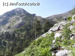 [P18] Poteca devine din ce în ce mai pietroasă și urcușul din ce în ce mai greu.  » foto by Aurici
 - 
<span class="allrVoted glyphicon glyphicon-heart hidden" id="av877189"></span>
<a class="m-l-10 hidden" id="sv877189" onclick="voting_Foto_DelVot(,877189,19009)" role="button">șterge vot <span class="glyphicon glyphicon-remove"></span></a>
<a id="v9877189" class=" c-red"  onclick="voting_Foto_SetVot(877189)" role="button"><span class="glyphicon glyphicon-heart-empty"></span> <b>LIKE</b> = Votează poza</a> <img class="hidden"  id="f877189W9" src="/imagini/loader.gif" border="0" /><span class="AjErrMes hidden" id="e877189ErM"></span>