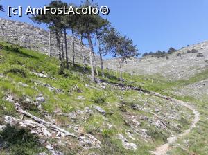 [P22] Deja cotim spre spatele stâncii care se vede de jos și mai avem puțin până la refugiul de la 1000 de m.  » foto by Aurici
 - 
<span class="allrVoted glyphicon glyphicon-heart hidden" id="av877193"></span>
<a class="m-l-10 hidden" id="sv877193" onclick="voting_Foto_DelVot(,877193,19009)" role="button">șterge vot <span class="glyphicon glyphicon-remove"></span></a>
<a id="v9877193" class=" c-red"  onclick="voting_Foto_SetVot(877193)" role="button"><span class="glyphicon glyphicon-heart-empty"></span> <b>LIKE</b> = Votează poza</a> <img class="hidden"  id="f877193W9" src="/imagini/loader.gif" border="0" /><span class="AjErrMes hidden" id="e877193ErM"></span>