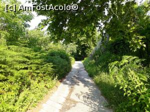 [P04] Încă mergem pe lângă grădinile localnicilor, pe străduța betonată.  » foto by Aurici
 - 
<span class="allrVoted glyphicon glyphicon-heart hidden" id="av877175"></span>
<a class="m-l-10 hidden" id="sv877175" onclick="voting_Foto_DelVot(,877175,19009)" role="button">șterge vot <span class="glyphicon glyphicon-remove"></span></a>
<a id="v9877175" class=" c-red"  onclick="voting_Foto_SetVot(877175)" role="button"><span class="glyphicon glyphicon-heart-empty"></span> <b>LIKE</b> = Votează poza</a> <img class="hidden"  id="f877175W9" src="/imagini/loader.gif" border="0" /><span class="AjErrMes hidden" id="e877175ErM"></span>