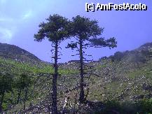 [P11] Peisaj destul de arid in varful muntelui » foto by krondia*
 - 
<span class="allrVoted glyphicon glyphicon-heart hidden" id="av57687"></span>
<a class="m-l-10 hidden" id="sv57687" onclick="voting_Foto_DelVot(,57687,19009)" role="button">șterge vot <span class="glyphicon glyphicon-remove"></span></a>
<a id="v957687" class=" c-red"  onclick="voting_Foto_SetVot(57687)" role="button"><span class="glyphicon glyphicon-heart-empty"></span> <b>LIKE</b> = Votează poza</a> <img class="hidden"  id="f57687W9" src="/imagini/loader.gif" border="0" /><span class="AjErrMes hidden" id="e57687ErM"></span>