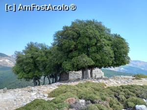 [P14] Kastro » foto by Mika
 - 
<span class="allrVoted glyphicon glyphicon-heart hidden" id="av1395515"></span>
<a class="m-l-10 hidden" id="sv1395515" onclick="voting_Foto_DelVot(,1395515,19011)" role="button">șterge vot <span class="glyphicon glyphicon-remove"></span></a>
<a id="v91395515" class=" c-red"  onclick="voting_Foto_SetVot(1395515)" role="button"><span class="glyphicon glyphicon-heart-empty"></span> <b>LIKE</b> = Votează poza</a> <img class="hidden"  id="f1395515W9" src="/imagini/loader.gif" border="0" /><span class="AjErrMes hidden" id="e1395515ErM"></span>