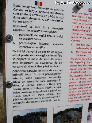 [P09] Aici aflam cum de ramane dulce apa paraului.  » foto by adrianaglogo
 - 
<span class="allrVoted glyphicon glyphicon-heart hidden" id="av651401"></span>
<a class="m-l-10 hidden" id="sv651401" onclick="voting_Foto_DelVot(,651401,19028)" role="button">șterge vot <span class="glyphicon glyphicon-remove"></span></a>
<a id="v9651401" class=" c-red"  onclick="voting_Foto_SetVot(651401)" role="button"><span class="glyphicon glyphicon-heart-empty"></span> <b>LIKE</b> = Votează poza</a> <img class="hidden"  id="f651401W9" src="/imagini/loader.gif" border="0" /><span class="AjErrMes hidden" id="e651401ErM"></span>