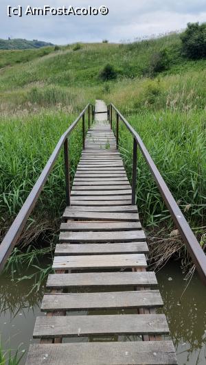 [P17] podeț pentru traversarea pârâului » foto by robert
 - 
<span class="allrVoted glyphicon glyphicon-heart hidden" id="av1338322"></span>
<a class="m-l-10 hidden" id="sv1338322" onclick="voting_Foto_DelVot(,1338322,19028)" role="button">șterge vot <span class="glyphicon glyphicon-remove"></span></a>
<a id="v91338322" class=" c-red"  onclick="voting_Foto_SetVot(1338322)" role="button"><span class="glyphicon glyphicon-heart-empty"></span> <b>LIKE</b> = Votează poza</a> <img class="hidden"  id="f1338322W9" src="/imagini/loader.gif" border="0" /><span class="AjErrMes hidden" id="e1338322ErM"></span>