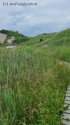 [P20] canionul de sare » foto by robert
 - 
<span class="allrVoted glyphicon glyphicon-heart hidden" id="av1338325"></span>
<a class="m-l-10 hidden" id="sv1338325" onclick="voting_Foto_DelVot(,1338325,19028)" role="button">șterge vot <span class="glyphicon glyphicon-remove"></span></a>
<a id="v91338325" class=" c-red"  onclick="voting_Foto_SetVot(1338325)" role="button"><span class="glyphicon glyphicon-heart-empty"></span> <b>LIKE</b> = Votează poza</a> <img class="hidden"  id="f1338325W9" src="/imagini/loader.gif" border="0" /><span class="AjErrMes hidden" id="e1338325ErM"></span>