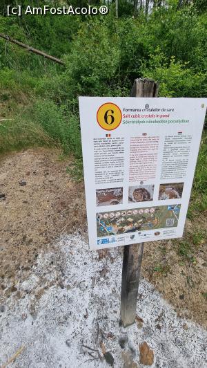 [P45] panou explicativ » foto by robert
 - 
<span class="allrVoted glyphicon glyphicon-heart hidden" id="av1338350"></span>
<a class="m-l-10 hidden" id="sv1338350" onclick="voting_Foto_DelVot(,1338350,19028)" role="button">șterge vot <span class="glyphicon glyphicon-remove"></span></a>
<a id="v91338350" class=" c-red"  onclick="voting_Foto_SetVot(1338350)" role="button"><span class="glyphicon glyphicon-heart-empty"></span> <b>LIKE</b> = Votează poza</a> <img class="hidden"  id="f1338350W9" src="/imagini/loader.gif" border="0" /><span class="AjErrMes hidden" id="e1338350ErM"></span>