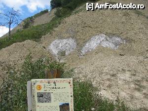 [P12]  -- <small>// FĂRĂ DESCRIERE</small> » foto by PPP974273
 - 
<span class="allrVoted glyphicon glyphicon-heart hidden" id="av446172"></span>
<a class="m-l-10 hidden" id="sv446172" onclick="voting_Foto_DelVot(,446172,19028)" role="button">șterge vot <span class="glyphicon glyphicon-remove"></span></a>
<a id="v9446172" class=" c-red"  onclick="voting_Foto_SetVot(446172)" role="button"><span class="glyphicon glyphicon-heart-empty"></span> <b>LIKE</b> = Votează poza</a> <img class="hidden"  id="f446172W9" src="/imagini/loader.gif" border="0" /><span class="AjErrMes hidden" id="e446172ErM"></span>