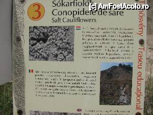 [P13]  -- <small>// FĂRĂ DESCRIERE</small> » foto by PPP974273
 - 
<span class="allrVoted glyphicon glyphicon-heart hidden" id="av446173"></span>
<a class="m-l-10 hidden" id="sv446173" onclick="voting_Foto_DelVot(,446173,19028)" role="button">șterge vot <span class="glyphicon glyphicon-remove"></span></a>
<a id="v9446173" class=" c-red"  onclick="voting_Foto_SetVot(446173)" role="button"><span class="glyphicon glyphicon-heart-empty"></span> <b>LIKE</b> = Votează poza</a> <img class="hidden"  id="f446173W9" src="/imagini/loader.gif" border="0" /><span class="AjErrMes hidden" id="e446173ErM"></span>