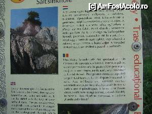 [P15] Obiectivul nr 4 - Ponorul de sare si explicatiile afisate » foto by PPP974273
 - 
<span class="allrVoted glyphicon glyphicon-heart hidden" id="av446175"></span>
<a class="m-l-10 hidden" id="sv446175" onclick="voting_Foto_DelVot(,446175,19028)" role="button">șterge vot <span class="glyphicon glyphicon-remove"></span></a>
<a id="v9446175" class=" c-red"  onclick="voting_Foto_SetVot(446175)" role="button"><span class="glyphicon glyphicon-heart-empty"></span> <b>LIKE</b> = Votează poza</a> <img class="hidden"  id="f446175W9" src="/imagini/loader.gif" border="0" /><span class="AjErrMes hidden" id="e446175ErM"></span>