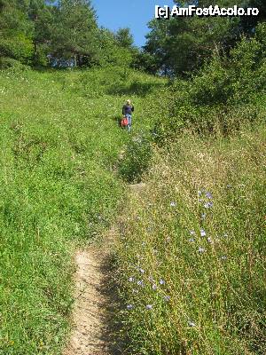 [P19] Acesta e accesul spre palnia de sare care se desfasoara privirii dupa escaladarea acestei pante si coborarea ei.  » foto by PPP974273
 - 
<span class="allrVoted glyphicon glyphicon-heart hidden" id="av446189"></span>
<a class="m-l-10 hidden" id="sv446189" onclick="voting_Foto_DelVot(,446189,19028)" role="button">șterge vot <span class="glyphicon glyphicon-remove"></span></a>
<a id="v9446189" class=" c-red"  onclick="voting_Foto_SetVot(446189)" role="button"><span class="glyphicon glyphicon-heart-empty"></span> <b>LIKE</b> = Votează poza</a> <img class="hidden"  id="f446189W9" src="/imagini/loader.gif" border="0" /><span class="AjErrMes hidden" id="e446189ErM"></span>