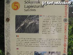 [P20] Obiectiv nr 5 -Lapiezurile » foto by PPP974273
 - 
<span class="allrVoted glyphicon glyphicon-heart hidden" id="av446191"></span>
<a class="m-l-10 hidden" id="sv446191" onclick="voting_Foto_DelVot(,446191,19028)" role="button">șterge vot <span class="glyphicon glyphicon-remove"></span></a>
<a id="v9446191" class=" c-red"  onclick="voting_Foto_SetVot(446191)" role="button"><span class="glyphicon glyphicon-heart-empty"></span> <b>LIKE</b> = Votează poza</a> <img class="hidden"  id="f446191W9" src="/imagini/loader.gif" border="0" /><span class="AjErrMes hidden" id="e446191ErM"></span>