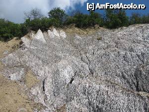 [P22] Nici o explicatie proprie nu poate mari valoarea pozei! Am stat cocotata aproape pe burta (bine ca am avut 'strat protector') sa pot poza splendoarea asta!  » foto by PPP974273
 - 
<span class="allrVoted glyphicon glyphicon-heart hidden" id="av446196"></span>
<a class="m-l-10 hidden" id="sv446196" onclick="voting_Foto_DelVot(,446196,19028)" role="button">șterge vot <span class="glyphicon glyphicon-remove"></span></a>
<a id="v9446196" class=" c-red"  onclick="voting_Foto_SetVot(446196)" role="button"><span class="glyphicon glyphicon-heart-empty"></span> <b>LIKE</b> = Votează poza</a> <img class="hidden"  id="f446196W9" src="/imagini/loader.gif" border="0" /><span class="AjErrMes hidden" id="e446196ErM"></span>