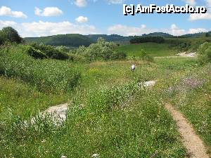 [P26] Drumul de la baia cu namol spre Creasta de Sare, ultimul obiectiv. Vegetatia abundenta, intre atata sare, te face sa te minunezi!  » foto by PPP974273
 - 
<span class="allrVoted glyphicon glyphicon-heart hidden" id="av446201"></span>
<a class="m-l-10 hidden" id="sv446201" onclick="voting_Foto_DelVot(,446201,19028)" role="button">șterge vot <span class="glyphicon glyphicon-remove"></span></a>
<a id="v9446201" class=" c-red"  onclick="voting_Foto_SetVot(446201)" role="button"><span class="glyphicon glyphicon-heart-empty"></span> <b>LIKE</b> = Votează poza</a> <img class="hidden"  id="f446201W9" src="/imagini/loader.gif" border="0" /><span class="AjErrMes hidden" id="e446201ErM"></span>