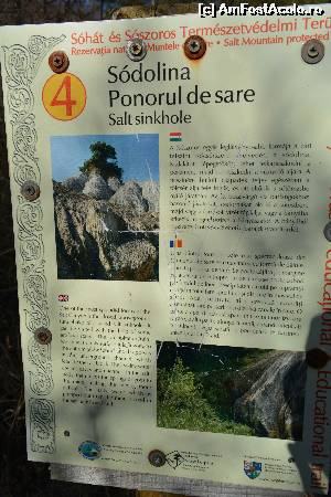 [P05]  -- <small>// FĂRĂ DESCRIERE</small> » foto by Clara T
 - 
<span class="allrVoted glyphicon glyphicon-heart hidden" id="av607372"></span>
<a class="m-l-10 hidden" id="sv607372" onclick="voting_Foto_DelVot(,607372,19028)" role="button">șterge vot <span class="glyphicon glyphicon-remove"></span></a>
<a id="v9607372" class=" c-red"  onclick="voting_Foto_SetVot(607372)" role="button"><span class="glyphicon glyphicon-heart-empty"></span> <b>LIKE</b> = Votează poza</a> <img class="hidden"  id="f607372W9" src="/imagini/loader.gif" border="0" /><span class="AjErrMes hidden" id="e607372ErM"></span>