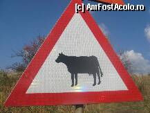 [P18] suntem la tzara » foto by dorgo
 - 
<span class="allrVoted glyphicon glyphicon-heart hidden" id="av88779"></span>
<a class="m-l-10 hidden" id="sv88779" onclick="voting_Foto_DelVot(,88779,19028)" role="button">șterge vot <span class="glyphicon glyphicon-remove"></span></a>
<a id="v988779" class=" c-red"  onclick="voting_Foto_SetVot(88779)" role="button"><span class="glyphicon glyphicon-heart-empty"></span> <b>LIKE</b> = Votează poza</a> <img class="hidden"  id="f88779W9" src="/imagini/loader.gif" border="0" /><span class="AjErrMes hidden" id="e88779ErM"></span>