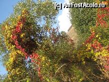 [P22] impresionism pe diagonala » foto by dorgo
 - 
<span class="allrVoted glyphicon glyphicon-heart hidden" id="av88783"></span>
<a class="m-l-10 hidden" id="sv88783" onclick="voting_Foto_DelVot(,88783,19028)" role="button">șterge vot <span class="glyphicon glyphicon-remove"></span></a>
<a id="v988783" class=" c-red"  onclick="voting_Foto_SetVot(88783)" role="button"><span class="glyphicon glyphicon-heart-empty"></span> <b>LIKE</b> = Votează poza</a> <img class="hidden"  id="f88783W9" src="/imagini/loader.gif" border="0" /><span class="AjErrMes hidden" id="e88783ErM"></span>