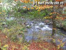 [P23] feeria toamnei » foto by dorgo
 - 
<span class="allrVoted glyphicon glyphicon-heart hidden" id="av88784"></span>
<a class="m-l-10 hidden" id="sv88784" onclick="voting_Foto_DelVot(,88784,19028)" role="button">șterge vot <span class="glyphicon glyphicon-remove"></span></a>
<a id="v988784" class=" c-red"  onclick="voting_Foto_SetVot(88784)" role="button"><span class="glyphicon glyphicon-heart-empty"></span> <b>LIKE</b> = Votează poza</a> <img class="hidden"  id="f88784W9" src="/imagini/loader.gif" border="0" /><span class="AjErrMes hidden" id="e88784ErM"></span>