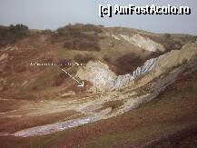 [P06] se cam fura pe la noi,nene Iancule... » foto by dorgo
 - 
<span class="allrVoted glyphicon glyphicon-heart hidden" id="av88767"></span>
<a class="m-l-10 hidden" id="sv88767" onclick="voting_Foto_DelVot(,88767,19028)" role="button">șterge vot <span class="glyphicon glyphicon-remove"></span></a>
<a id="v988767" class=" c-red"  onclick="voting_Foto_SetVot(88767)" role="button"><span class="glyphicon glyphicon-heart-empty"></span> <b>LIKE</b> = Votează poza</a> <img class="hidden"  id="f88767W9" src="/imagini/loader.gif" border="0" /><span class="AjErrMes hidden" id="e88767ErM"></span>