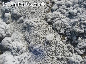 [P11] Alte perle de sare » foto by dorgo
 - 
<span class="allrVoted glyphicon glyphicon-heart hidden" id="av1129844"></span>
<a class="m-l-10 hidden" id="sv1129844" onclick="voting_Foto_DelVot(,1129844,19028)" role="button">șterge vot <span class="glyphicon glyphicon-remove"></span></a>
<a id="v91129844" class=" c-red"  onclick="voting_Foto_SetVot(1129844)" role="button"><span class="glyphicon glyphicon-heart-empty"></span> <b>LIKE</b> = Votează poza</a> <img class="hidden"  id="f1129844W9" src="/imagini/loader.gif" border="0" /><span class="AjErrMes hidden" id="e1129844ErM"></span>