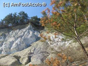 [P13] Alte stanci de sare, ce-au strapuns stratul de argila. » foto by dorgo
 - 
<span class="allrVoted glyphicon glyphicon-heart hidden" id="av1129846"></span>
<a class="m-l-10 hidden" id="sv1129846" onclick="voting_Foto_DelVot(,1129846,19028)" role="button">șterge vot <span class="glyphicon glyphicon-remove"></span></a>
<a id="v91129846" class=" c-red"  onclick="voting_Foto_SetVot(1129846)" role="button"><span class="glyphicon glyphicon-heart-empty"></span> <b>LIKE</b> = Votează poza</a> <img class="hidden"  id="f1129846W9" src="/imagini/loader.gif" border="0" /><span class="AjErrMes hidden" id="e1129846ErM"></span>