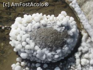 [P15] Granit salinificat. Se pare ca pentru bogatiile in granit, sare, lemn si aur, vorbim noi astazi o limba latina.  » foto by dorgo
 - 
<span class="allrVoted glyphicon glyphicon-heart hidden" id="av1129848"></span>
<a class="m-l-10 hidden" id="sv1129848" onclick="voting_Foto_DelVot(,1129848,19028)" role="button">șterge vot <span class="glyphicon glyphicon-remove"></span></a>
<a id="v91129848" class=" c-red"  onclick="voting_Foto_SetVot(1129848)" role="button"><span class="glyphicon glyphicon-heart-empty"></span> <b>LIKE</b> = Votează poza</a> <img class="hidden"  id="f1129848W9" src="/imagini/loader.gif" border="0" /><span class="AjErrMes hidden" id="e1129848ErM"></span>