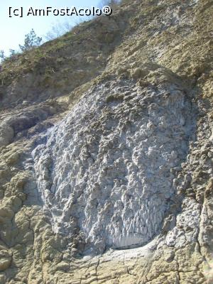 [P06] O conopida de sare » foto by dorgo
 - 
<span class="allrVoted glyphicon glyphicon-heart hidden" id="av1129839"></span>
<a class="m-l-10 hidden" id="sv1129839" onclick="voting_Foto_DelVot(,1129839,19028)" role="button">șterge vot <span class="glyphicon glyphicon-remove"></span></a>
<a id="v91129839" class=" c-red"  onclick="voting_Foto_SetVot(1129839)" role="button"><span class="glyphicon glyphicon-heart-empty"></span> <b>LIKE</b> = Votează poza</a> <img class="hidden"  id="f1129839W9" src="/imagini/loader.gif" border="0" /><span class="AjErrMes hidden" id="e1129839ErM"></span>