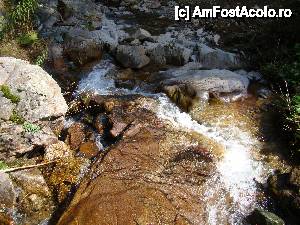 [P12] ['Cascada Vârciorog'] / În albia pârâului, înainte de a ajunge la cascadă.  » foto by Utube
 - 
<span class="allrVoted glyphicon glyphicon-heart hidden" id="av400417"></span>
<a class="m-l-10 hidden" id="sv400417" onclick="voting_Foto_DelVot(,400417,19078)" role="button">șterge vot <span class="glyphicon glyphicon-remove"></span></a>
<a id="v9400417" class=" c-red"  onclick="voting_Foto_SetVot(400417)" role="button"><span class="glyphicon glyphicon-heart-empty"></span> <b>LIKE</b> = Votează poza</a> <img class="hidden"  id="f400417W9" src="/imagini/loader.gif" border="0" /><span class="AjErrMes hidden" id="e400417ErM"></span>
