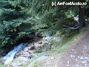 [P03] ['Cascada Vârciorog'] / Pârâul care curge până la drumul asfaltat, principal. În dreapta pe copac se vede marcajul turistic ”punct galben”.  » foto by Utube
 - 
<span class="allrVoted glyphicon glyphicon-heart hidden" id="av400408"></span>
<a class="m-l-10 hidden" id="sv400408" onclick="voting_Foto_DelVot(,400408,19078)" role="button">șterge vot <span class="glyphicon glyphicon-remove"></span></a>
<a id="v9400408" class=" c-red"  onclick="voting_Foto_SetVot(400408)" role="button"><span class="glyphicon glyphicon-heart-empty"></span> <b>LIKE</b> = Votează poza</a> <img class="hidden"  id="f400408W9" src="/imagini/loader.gif" border="0" /><span class="AjErrMes hidden" id="e400408ErM"></span>