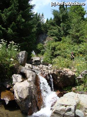 [P08] ['Cascada Vârciorog'] / O cădere de apă în trepte mici, foarte frumoasă!  » foto by Utube
 - 
<span class="allrVoted glyphicon glyphicon-heart hidden" id="av400413"></span>
<a class="m-l-10 hidden" id="sv400413" onclick="voting_Foto_DelVot(,400413,19078)" role="button">șterge vot <span class="glyphicon glyphicon-remove"></span></a>
<a id="v9400413" class=" c-red"  onclick="voting_Foto_SetVot(400413)" role="button"><span class="glyphicon glyphicon-heart-empty"></span> <b>LIKE</b> = Votează poza</a> <img class="hidden"  id="f400413W9" src="/imagini/loader.gif" border="0" /><span class="AjErrMes hidden" id="e400413ErM"></span>