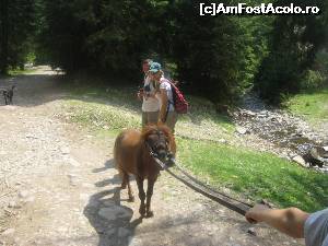 [P10] 'Poney' e vedeta excursiei » foto by dorgo
 - 
<span class="allrVoted glyphicon glyphicon-heart hidden" id="av654170"></span>
<a class="m-l-10 hidden" id="sv654170" onclick="voting_Foto_DelVot(,654170,19078)" role="button">șterge vot <span class="glyphicon glyphicon-remove"></span></a>
<a id="v9654170" class=" c-red"  onclick="voting_Foto_SetVot(654170)" role="button"><span class="glyphicon glyphicon-heart-empty"></span> <b>LIKE</b> = Votează poza</a> <img class="hidden"  id="f654170W9" src="/imagini/loader.gif" border="0" /><span class="AjErrMes hidden" id="e654170ErM"></span>