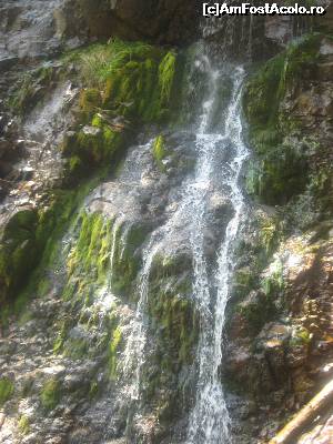 [P17] Cascada Varciorog » foto by dorgo
 - 
<span class="allrVoted glyphicon glyphicon-heart hidden" id="av654181"></span>
<a class="m-l-10 hidden" id="sv654181" onclick="voting_Foto_DelVot(,654181,19078)" role="button">șterge vot <span class="glyphicon glyphicon-remove"></span></a>
<a id="v9654181" class=" c-red"  onclick="voting_Foto_SetVot(654181)" role="button"><span class="glyphicon glyphicon-heart-empty"></span> <b>LIKE</b> = Votează poza</a> <img class="hidden"  id="f654181W9" src="/imagini/loader.gif" border="0" /><span class="AjErrMes hidden" id="e654181ErM"></span>