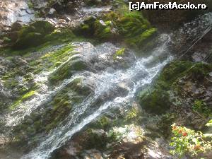 [P18] Cascada Varciorog » foto by dorgo
 - 
<span class="allrVoted glyphicon glyphicon-heart hidden" id="av654183"></span>
<a class="m-l-10 hidden" id="sv654183" onclick="voting_Foto_DelVot(,654183,19078)" role="button">șterge vot <span class="glyphicon glyphicon-remove"></span></a>
<a id="v9654183" class=" c-red"  onclick="voting_Foto_SetVot(654183)" role="button"><span class="glyphicon glyphicon-heart-empty"></span> <b>LIKE</b> = Votează poza</a> <img class="hidden"  id="f654183W9" src="/imagini/loader.gif" border="0" /><span class="AjErrMes hidden" id="e654183ErM"></span>