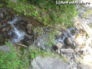 [P07] De-a lungul drumului, suntem insotiti de raul Varciorog » foto by dorgo
 - 
<span class="allrVoted glyphicon glyphicon-heart hidden" id="av654167"></span>
<a class="m-l-10 hidden" id="sv654167" onclick="voting_Foto_DelVot(,654167,19078)" role="button">șterge vot <span class="glyphicon glyphicon-remove"></span></a>
<a id="v9654167" class=" c-red"  onclick="voting_Foto_SetVot(654167)" role="button"><span class="glyphicon glyphicon-heart-empty"></span> <b>LIKE</b> = Votează poza</a> <img class="hidden"  id="f654167W9" src="/imagini/loader.gif" border="0" /><span class="AjErrMes hidden" id="e654167ErM"></span>
