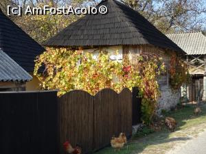 [P11] Arhitectura tradițională din zona Costești.  » foto by tata123 🔱
 - 
<span class="allrVoted glyphicon glyphicon-heart hidden" id="av1132062"></span>
<a class="m-l-10 hidden" id="sv1132062" onclick="voting_Foto_DelVot(,1132062,19120)" role="button">șterge vot <span class="glyphicon glyphicon-remove"></span></a>
<a id="v91132062" class=" c-red"  onclick="voting_Foto_SetVot(1132062)" role="button"><span class="glyphicon glyphicon-heart-empty"></span> <b>LIKE</b> = Votează poza</a> <img class="hidden"  id="f1132062W9" src="/imagini/loader.gif" border="0" /><span class="AjErrMes hidden" id="e1132062ErM"></span>