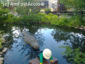 [P05] Crocodilul » foto by lady_anca81
 - 
<span class="allrVoted glyphicon glyphicon-heart hidden" id="av706269"></span>
<a class="m-l-10 hidden" id="sv706269" onclick="voting_Foto_DelVot(,706269,19139)" role="button">șterge vot <span class="glyphicon glyphicon-remove"></span></a>
<a id="v9706269" class=" c-red"  onclick="voting_Foto_SetVot(706269)" role="button"><span class="glyphicon glyphicon-heart-empty"></span> <b>LIKE</b> = Votează poza</a> <img class="hidden"  id="f706269W9" src="/imagini/loader.gif" border="0" /><span class="AjErrMes hidden" id="e706269ErM"></span>