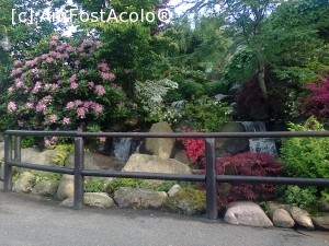 [P09] Gradina cu cascada » foto by lady_anca81
 - 
<span class="allrVoted glyphicon glyphicon-heart hidden" id="av706273"></span>
<a class="m-l-10 hidden" id="sv706273" onclick="voting_Foto_DelVot(,706273,19139)" role="button">șterge vot <span class="glyphicon glyphicon-remove"></span></a>
<a id="v9706273" class=" c-red"  onclick="voting_Foto_SetVot(706273)" role="button"><span class="glyphicon glyphicon-heart-empty"></span> <b>LIKE</b> = Votează poza</a> <img class="hidden"  id="f706273W9" src="/imagini/loader.gif" border="0" /><span class="AjErrMes hidden" id="e706273ErM"></span>