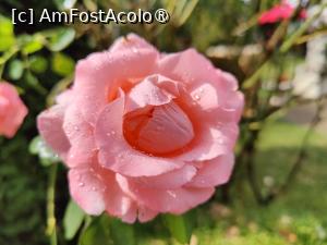 [P44] Terasa pensiunii Fortuna; după ploaie » foto by crismis
 - 
<span class="allrVoted glyphicon glyphicon-heart hidden" id="av1416694"></span>
<a class="m-l-10 hidden" id="sv1416694" onclick="voting_Foto_DelVot(,1416694,19156)" role="button">șterge vot <span class="glyphicon glyphicon-remove"></span></a>
<a id="v91416694" class=" c-red"  onclick="voting_Foto_SetVot(1416694)" role="button"><span class="glyphicon glyphicon-heart-empty"></span> <b>LIKE</b> = Votează poza</a> <img class="hidden"  id="f1416694W9" src="/imagini/loader.gif" border="0" /><span class="AjErrMes hidden" id="e1416694ErM"></span>