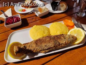 [P49] Terasa pensiunii Fortuna; păstrăv cu mămăligă » foto by crismis
 - 
<span class="allrVoted glyphicon glyphicon-heart hidden" id="av1416699"></span>
<a class="m-l-10 hidden" id="sv1416699" onclick="voting_Foto_DelVot(,1416699,19156)" role="button">șterge vot <span class="glyphicon glyphicon-remove"></span></a>
<a id="v91416699" class=" c-red"  onclick="voting_Foto_SetVot(1416699)" role="button"><span class="glyphicon glyphicon-heart-empty"></span> <b>LIKE</b> = Votează poza</a> <img class="hidden"  id="f1416699W9" src="/imagini/loader.gif" border="0" /><span class="AjErrMes hidden" id="e1416699ErM"></span>