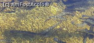 [P29] PASTRAVARIA CAZANESTI-PASTRAVI » foto by costyy †
 - 
<span class="allrVoted glyphicon glyphicon-heart hidden" id="av1248824"></span>
<a class="m-l-10 hidden" id="sv1248824" onclick="voting_Foto_DelVot(,1248824,19172)" role="button">șterge vot <span class="glyphicon glyphicon-remove"></span></a>
<a id="v91248824" class=" c-red"  onclick="voting_Foto_SetVot(1248824)" role="button"><span class="glyphicon glyphicon-heart-empty"></span> <b>LIKE</b> = Votează poza</a> <img class="hidden"  id="f1248824W9" src="/imagini/loader.gif" border="0" /><span class="AjErrMes hidden" id="e1248824ErM"></span>
