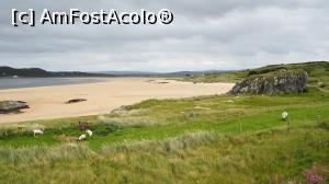 [P12] Doagh Famine Village - plajă cu nisip la Atlantic, păcat de condițiile climatice » foto by DanCld
 - 
<span class="allrVoted glyphicon glyphicon-heart hidden" id="av1179288"></span>
<a class="m-l-10 hidden" id="sv1179288" onclick="voting_Foto_DelVot(,1179288,19173)" role="button">șterge vot <span class="glyphicon glyphicon-remove"></span></a>
<a id="v91179288" class=" c-red"  onclick="voting_Foto_SetVot(1179288)" role="button"><span class="glyphicon glyphicon-heart-empty"></span> <b>LIKE</b> = Votează poza</a> <img class="hidden"  id="f1179288W9" src="/imagini/loader.gif" border="0" /><span class="AjErrMes hidden" id="e1179288ErM"></span>