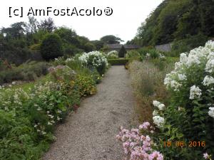 [P58] Bunratty - Folk Park.  » foto by iulianic
 - 
<span class="allrVoted glyphicon glyphicon-heart hidden" id="av802998"></span>
<a class="m-l-10 hidden" id="sv802998" onclick="voting_Foto_DelVot(,802998,19173)" role="button">șterge vot <span class="glyphicon glyphicon-remove"></span></a>
<a id="v9802998" class=" c-red"  onclick="voting_Foto_SetVot(802998)" role="button"><span class="glyphicon glyphicon-heart-empty"></span> <b>LIKE</b> = Votează poza</a> <img class="hidden"  id="f802998W9" src="/imagini/loader.gif" border="0" /><span class="AjErrMes hidden" id="e802998ErM"></span>