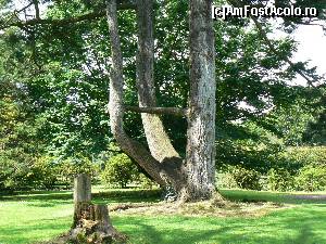 [P21] Natura surprinde mereu » foto by DOINITA
 - 
<span class="allrVoted glyphicon glyphicon-heart hidden" id="av658793"></span>
<a class="m-l-10 hidden" id="sv658793" onclick="voting_Foto_DelVot(,658793,19173)" role="button">șterge vot <span class="glyphicon glyphicon-remove"></span></a>
<a id="v9658793" class=" c-red"  onclick="voting_Foto_SetVot(658793)" role="button"><span class="glyphicon glyphicon-heart-empty"></span> <b>LIKE</b> = Votează poza</a> <img class="hidden"  id="f658793W9" src="/imagini/loader.gif" border="0" /><span class="AjErrMes hidden" id="e658793ErM"></span>