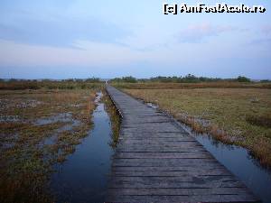 [P11] Laguna Nin » foto by turist.real
 - 
<span class="allrVoted glyphicon glyphicon-heart hidden" id="av659765"></span>
<a class="m-l-10 hidden" id="sv659765" onclick="voting_Foto_DelVot(,659765,19193)" role="button">șterge vot <span class="glyphicon glyphicon-remove"></span></a>
<a id="v9659765" class=" c-red"  onclick="voting_Foto_SetVot(659765)" role="button"><span class="glyphicon glyphicon-heart-empty"></span> <b>LIKE</b> = Votează poza</a> <img class="hidden"  id="f659765W9" src="/imagini/loader.gif" border="0" /><span class="AjErrMes hidden" id="e659765ErM"></span>