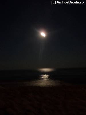 [P31] Marea și luna într-o contopire de basm...  » foto by kikiritzi
 - 
<span class="allrVoted glyphicon glyphicon-heart hidden" id="av661528"></span>
<a class="m-l-10 hidden" id="sv661528" onclick="voting_Foto_DelVot(,661528,19226)" role="button">șterge vot <span class="glyphicon glyphicon-remove"></span></a>
<a id="v9661528" class=" c-red"  onclick="voting_Foto_SetVot(661528)" role="button"><span class="glyphicon glyphicon-heart-empty"></span> <b>LIKE</b> = Votează poza</a> <img class="hidden"  id="f661528W9" src="/imagini/loader.gif" border="0" /><span class="AjErrMes hidden" id="e661528ErM"></span>